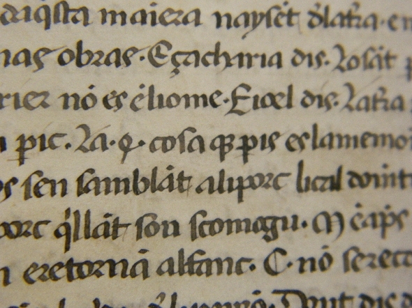 La questione della lingua valdese (35 anni dopo)